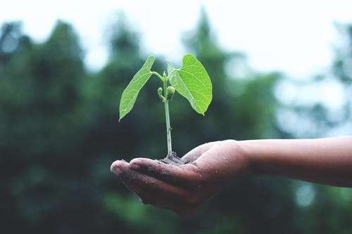 Vypěstujte si kvalitní a bio potraviny i doma – naklíčit si můžete nechat téměř cokoliv